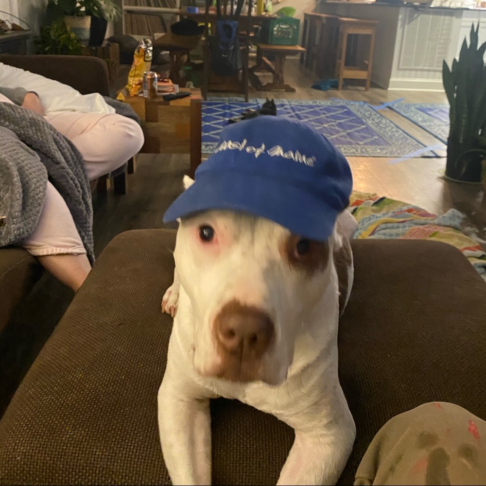 Meet your Posher, Rob